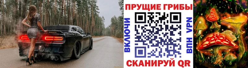 купить  сайты  Бежецк  Галлюциногенные грибы ЛСД 